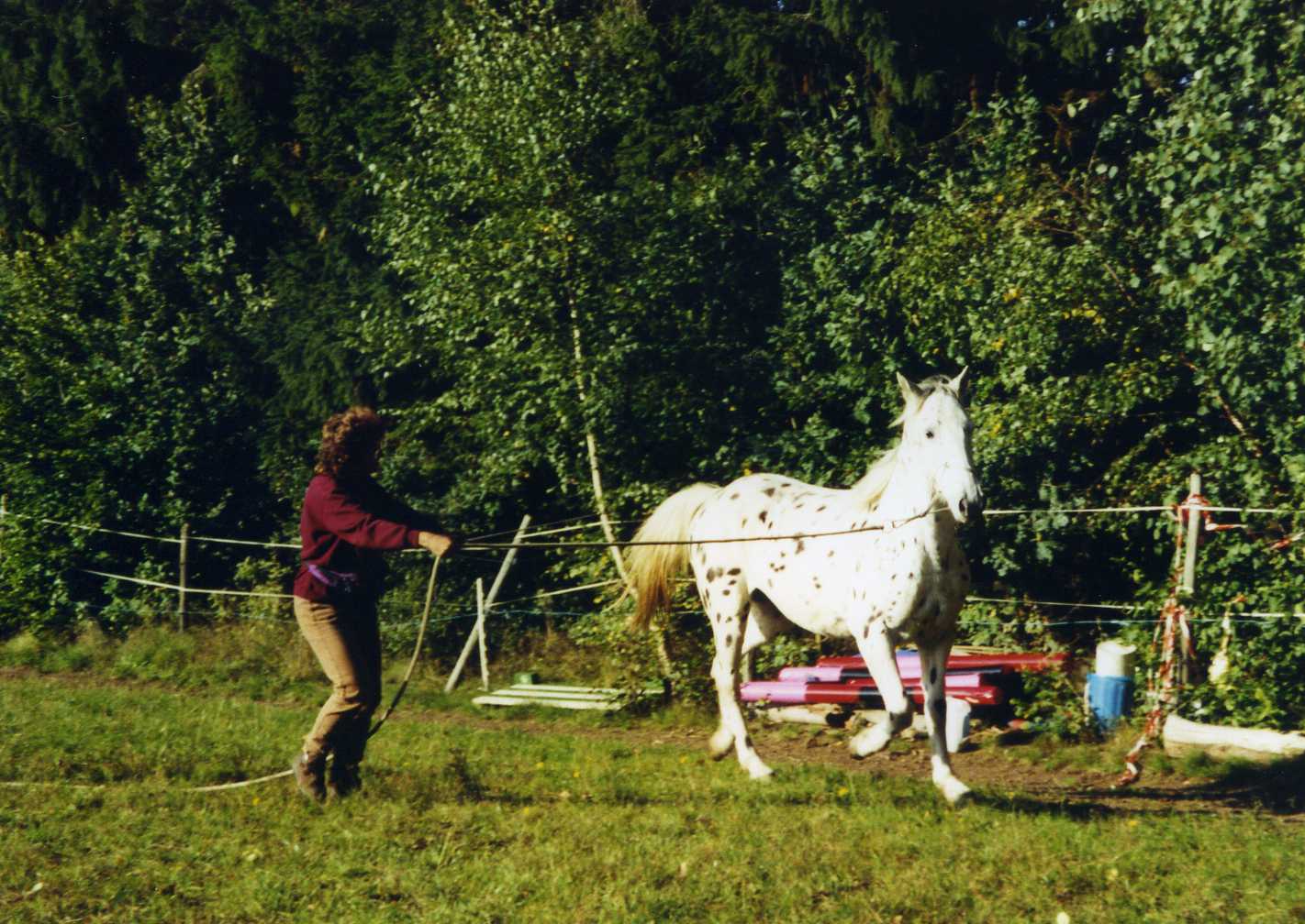 Arbeit mit Dakota 01