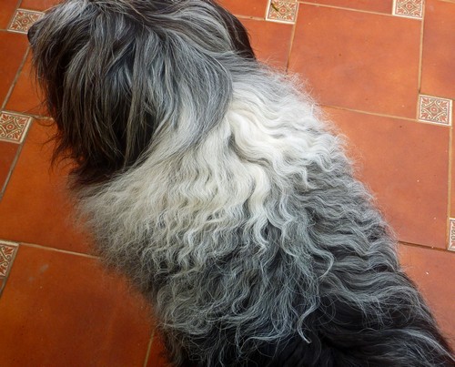 Balu Locken 1500 Balu Locken 1500