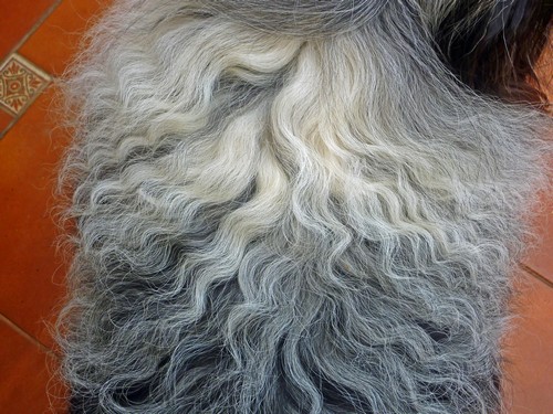 Balu Locken 2500