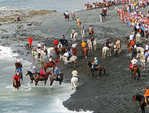 Caleta 15500 Caleta 15500
