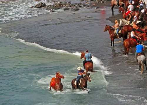Caleta 16500 Caleta 16500