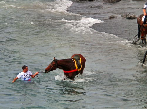 Caleta 17500