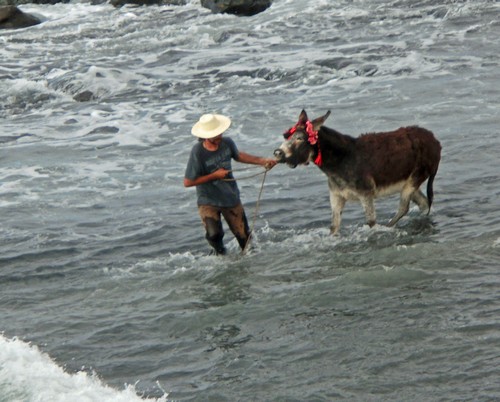 Caleta 22500