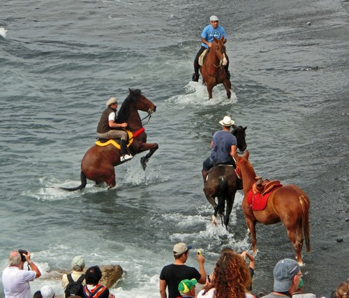 Caleta 23500 Caleta 23500