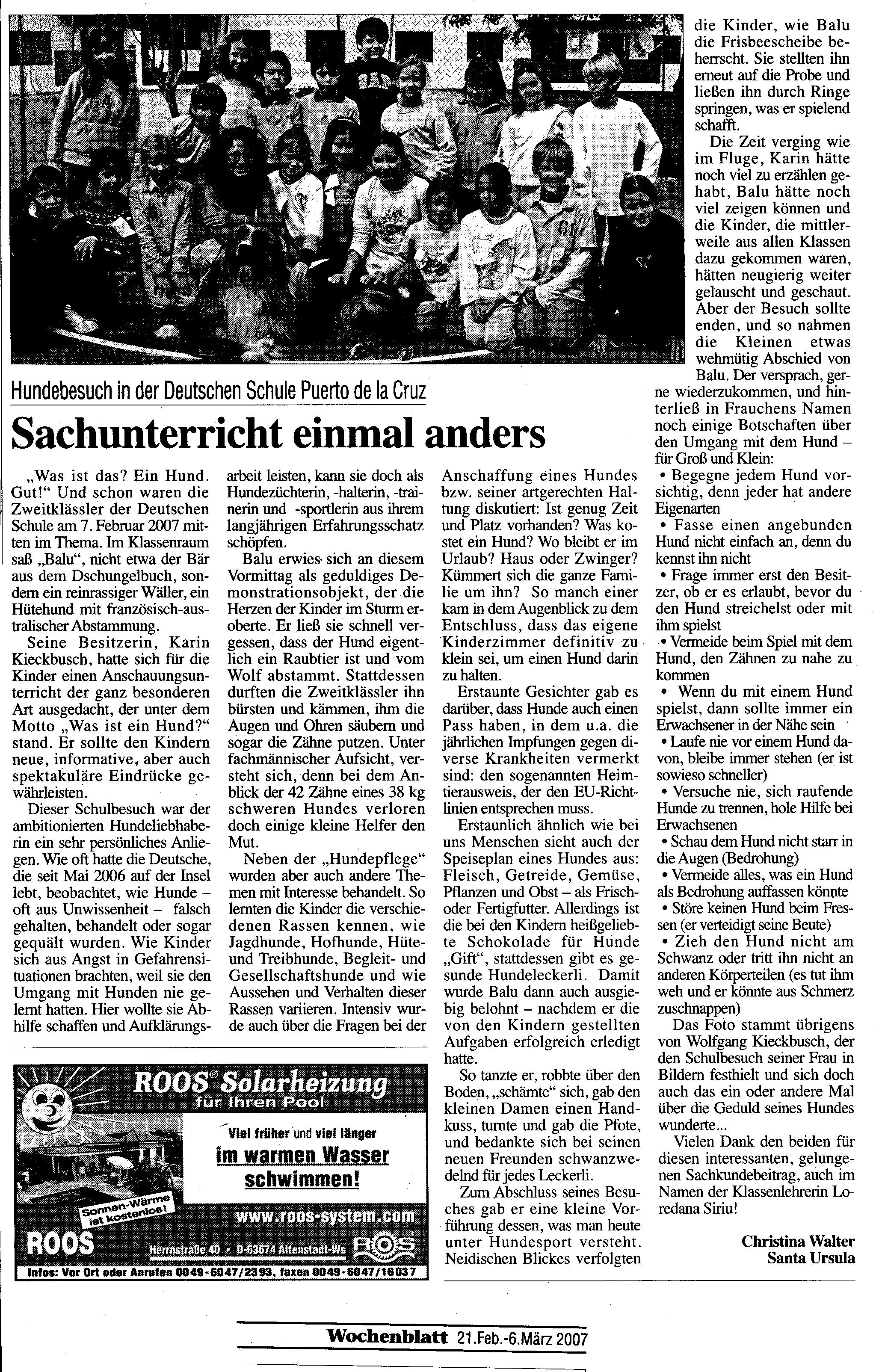 D-Schule-Hund D-Schule-Hund