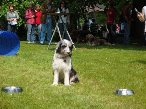 DSC00776 DSC00776