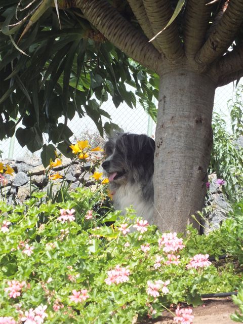 DSCF0702 DSCF0702