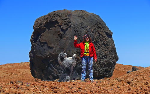 Die Eier des Teide