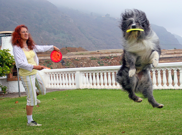 Frisbee Frisbee