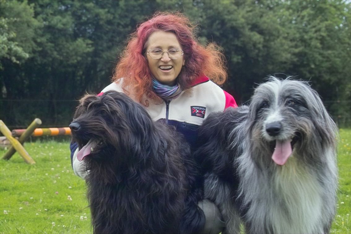 Hundehochzeit Hundehochzeit