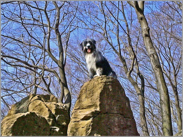 Jan-2005 Jan-2005