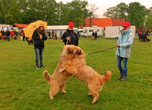 Jungvolk Wälltertreffen12500 Jungvolk Wälltertreffen12500