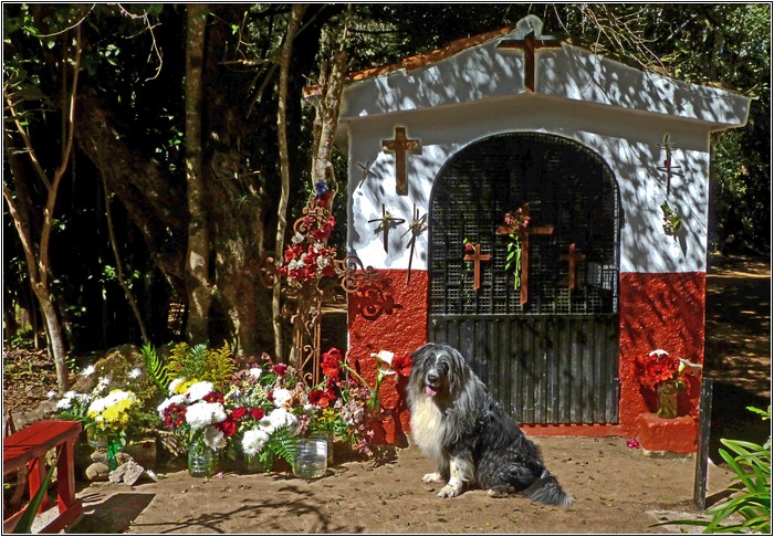 Kapelle Kapelle