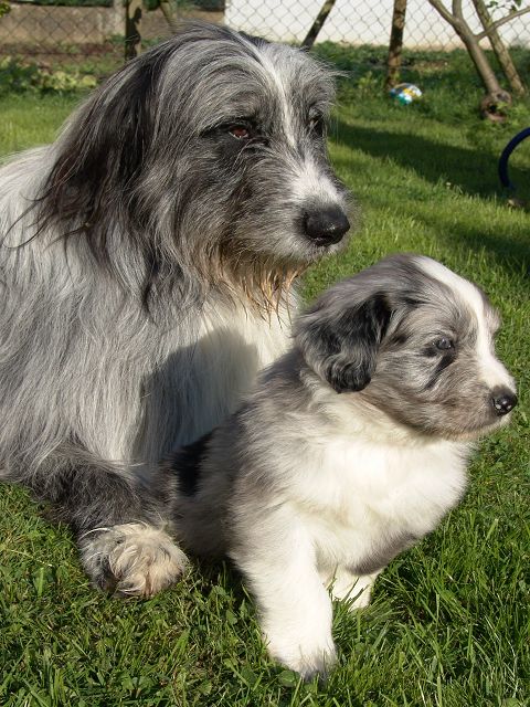 Onkel Balu mit Neffe