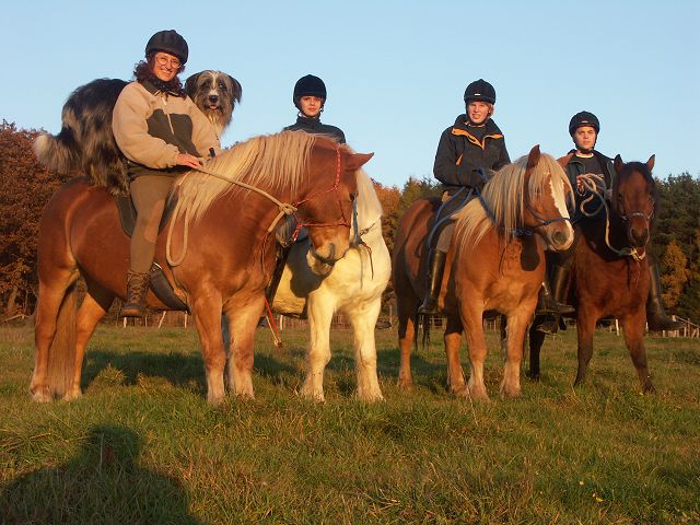Pferdetruppe