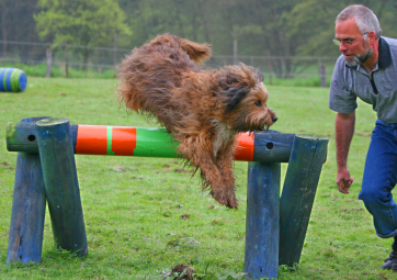 Sprung im Parcours