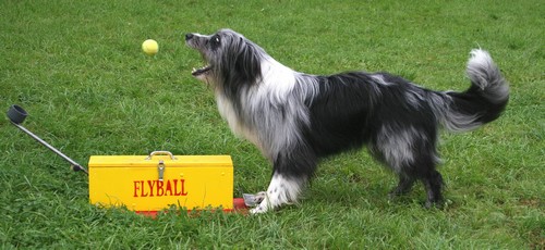 Waell-5500 Waell-5500