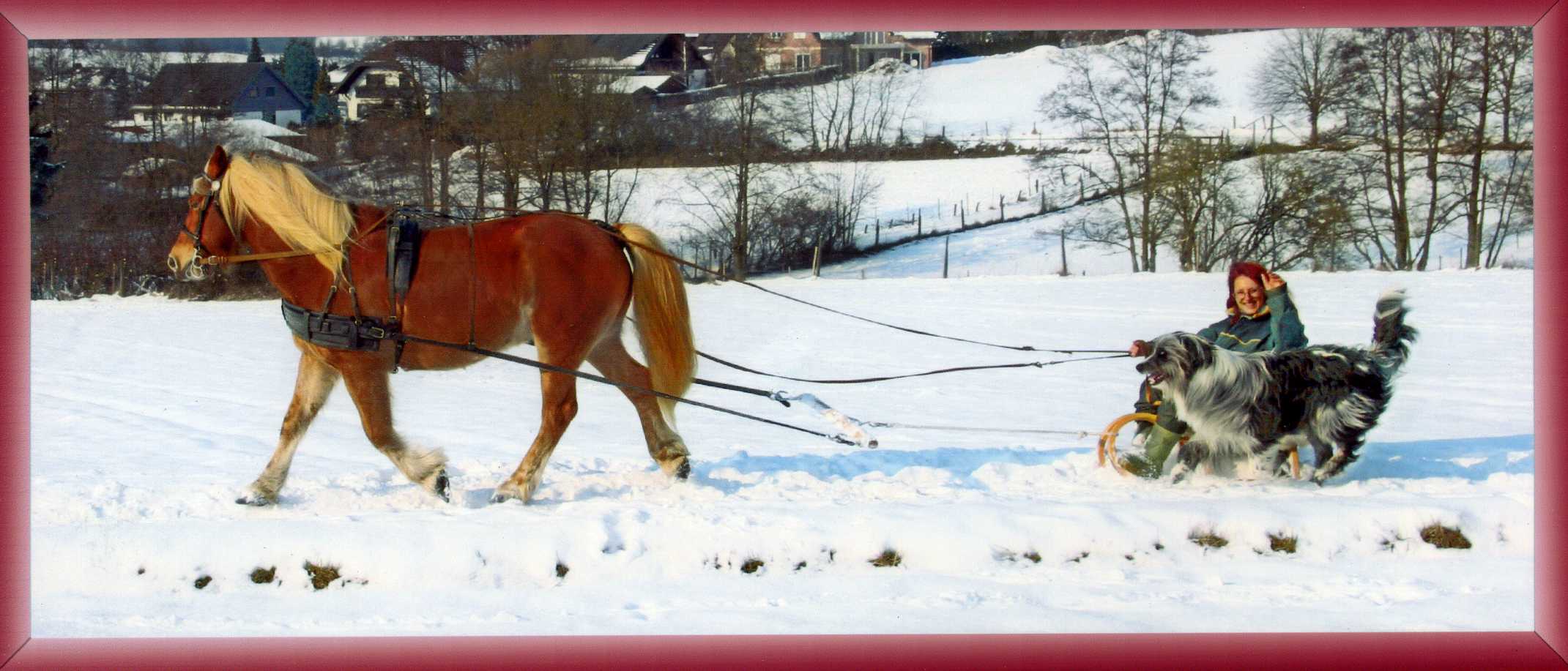 Winterfahrten