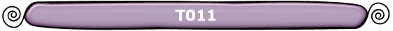 T011