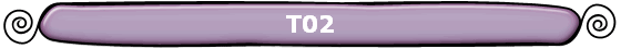 T02