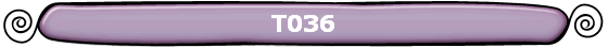 T036 T036