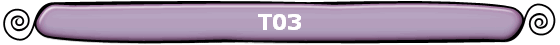 T03