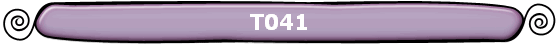 T041