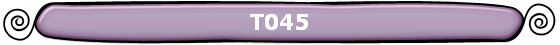 T045