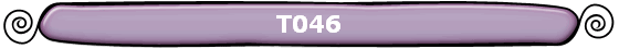 T046