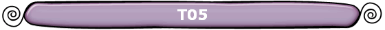 T05