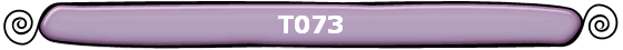 T073