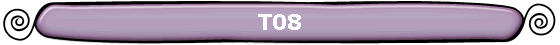 T08