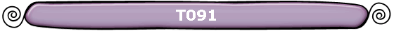 T091 T091