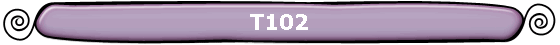 T102