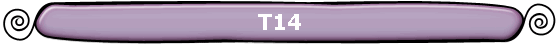 T14