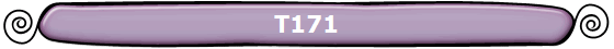 T171
