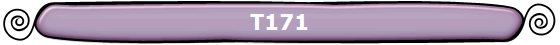 T171 T171