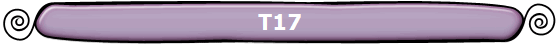 T17