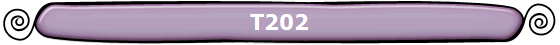 T202 T202
