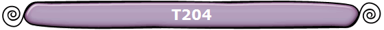 T204