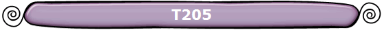 T205