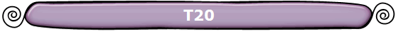 T20