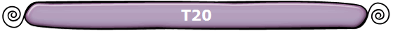 T20 T20