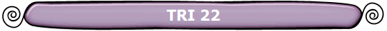 TRI 22