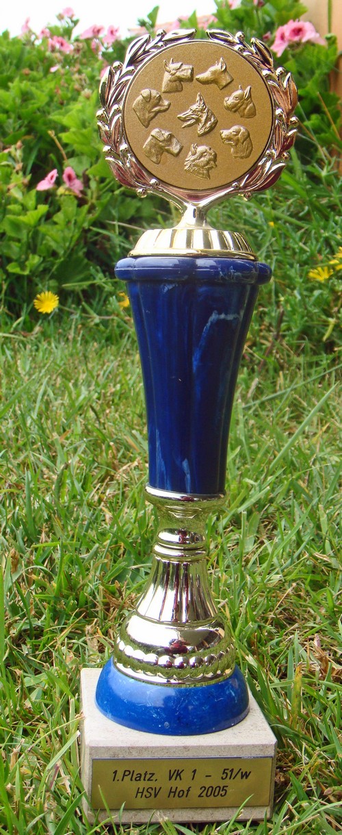 b-Pokal b-Pokal