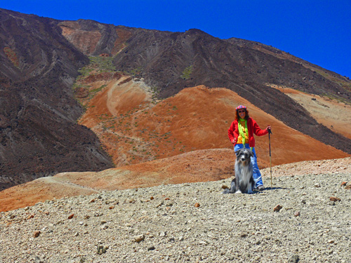 gelbe Landschaft vor dem Teide