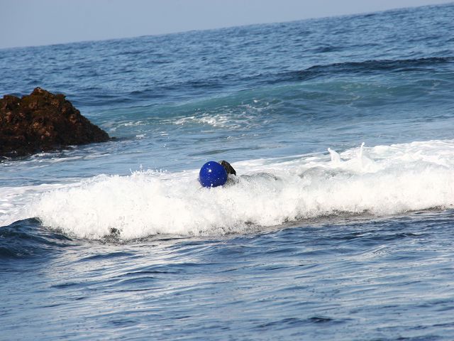 k-Balu im Meer mit Ball k-Balu im Meer mit Ball