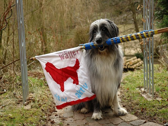 k-Balu mit Wllerfahne