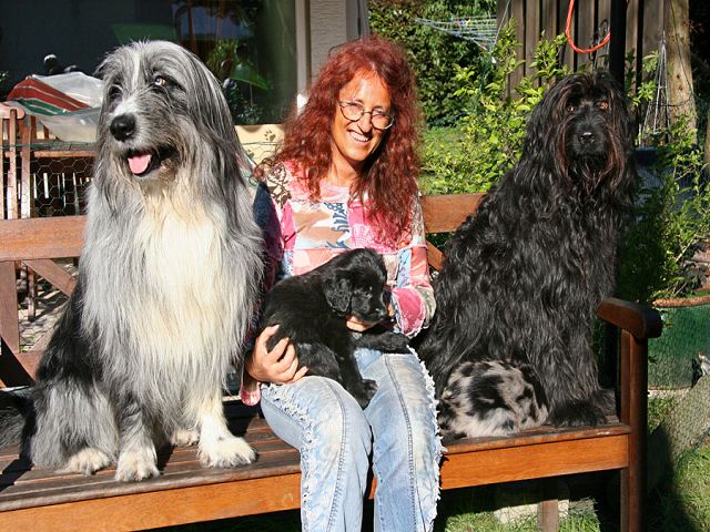 k-Balu und Bijous Nachwuchs k-Balu und Bijous Nachwuchs