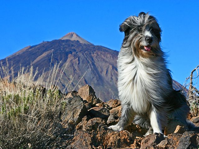 k-Balu vor Teide